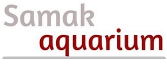 Sold By : Samak Aquarium Samak Aquarium